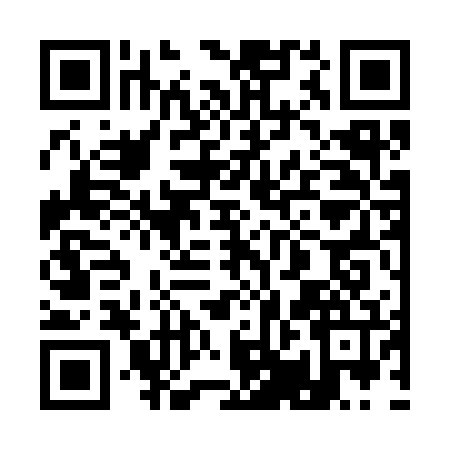 QR code for 10C376P