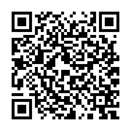 QR code for 10FA663