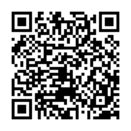 QR code for 10P0560