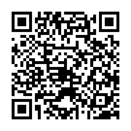QR code for 10P379N