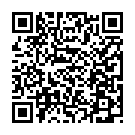 QR code for 10P441M