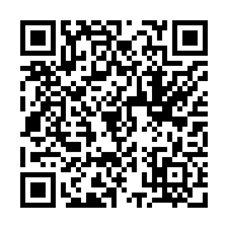 QR code for 10P862S