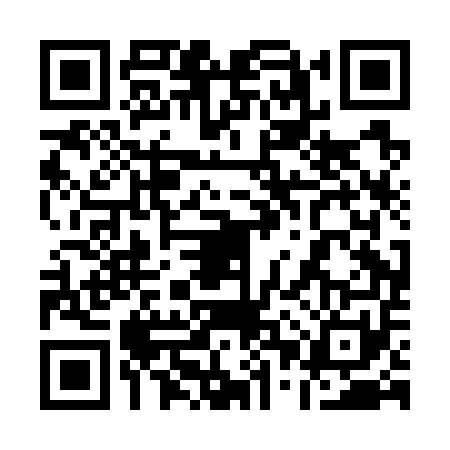 QR code for 10PG513