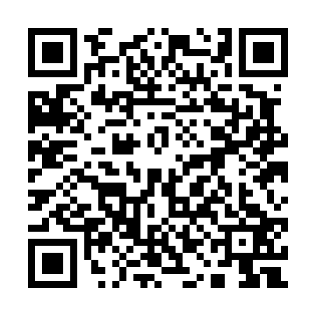 QR code for 11AD234