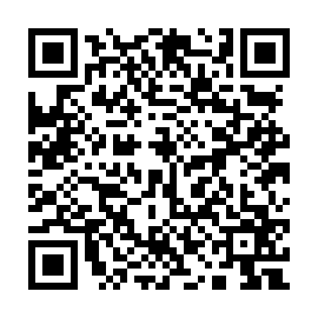 QR code for 11ALV63