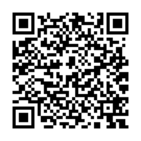 QR code for 11FG291
