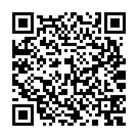 QR code for 11FV387