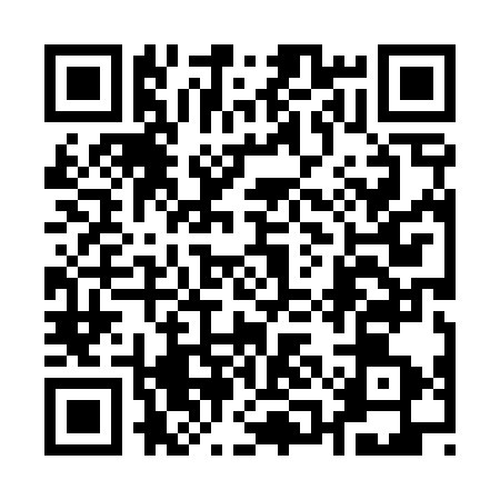 QR code for 11H433F
