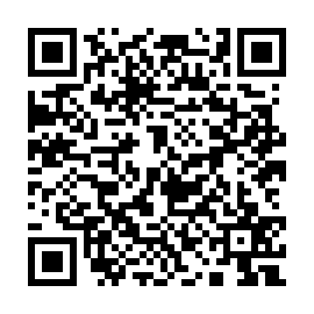 QR code for 11HG378