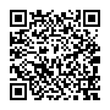 QR code for 11LSY99