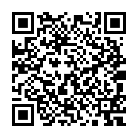 QR code for 11LV919