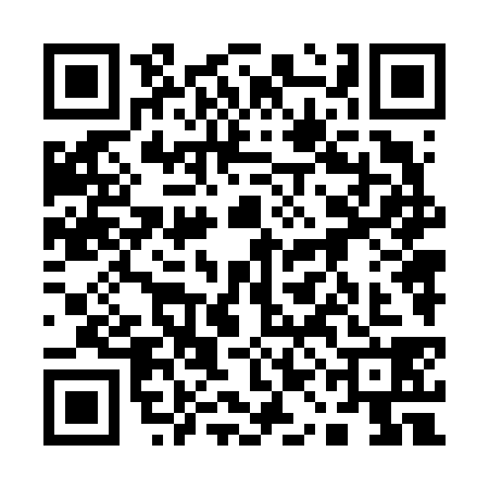 QR code for 11N6383