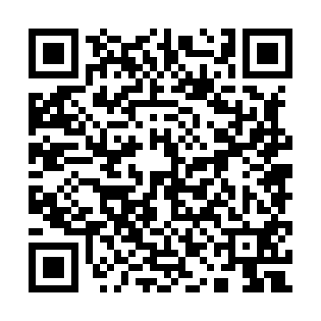 QR code for 11N850T