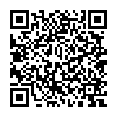 QR code for 11P403S
