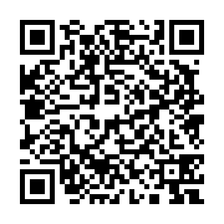 QR code for 11P4386