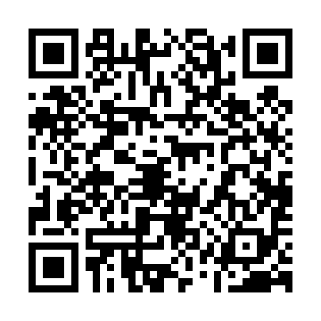 QR code for 11P498Z