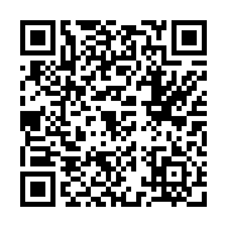 QR code for 11P613H