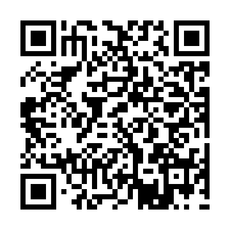 QR code for 11P9385