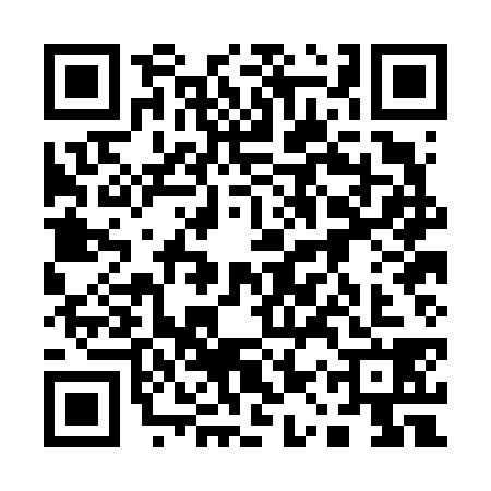 QR code for 11PF383