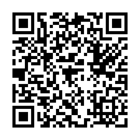 QR code for 11PL386