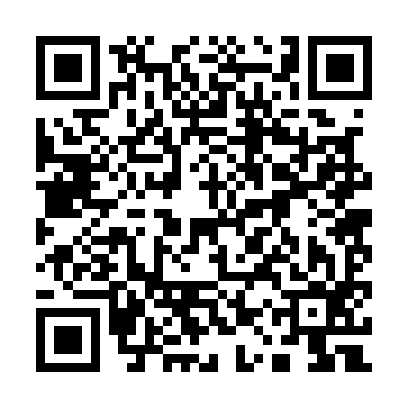 QR code for 11R196L