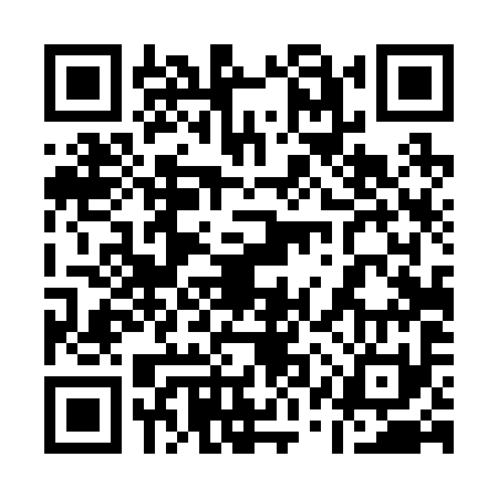 QR code for 11T291J
