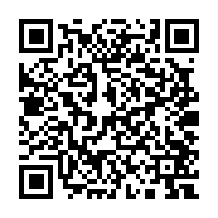 QR code for 11TP436