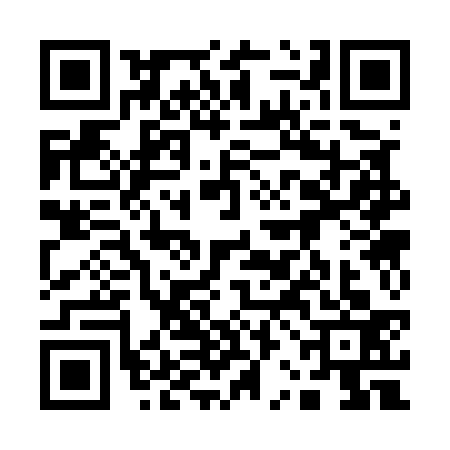 QR code for 12C5338