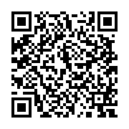 QR code for 12CD819