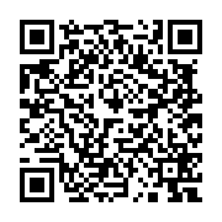 QR code for 12GL699