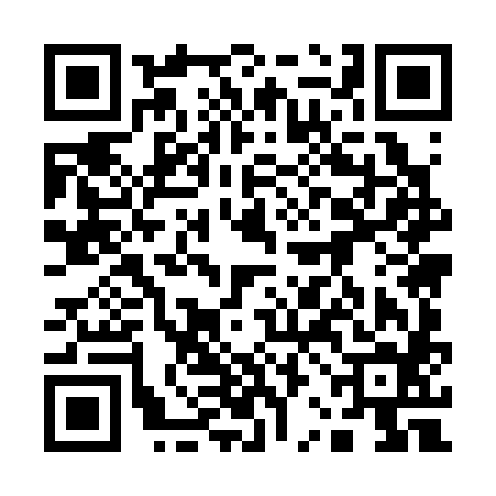 QR code for 12M384K