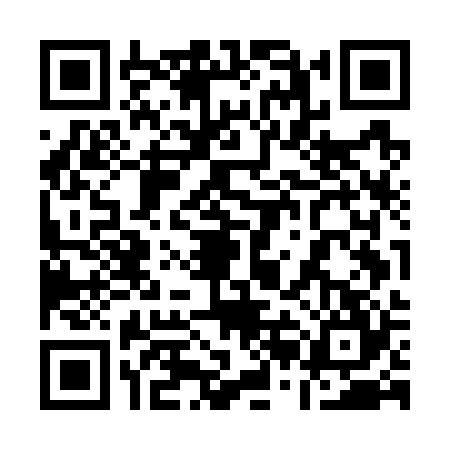 QR code for 12MG241