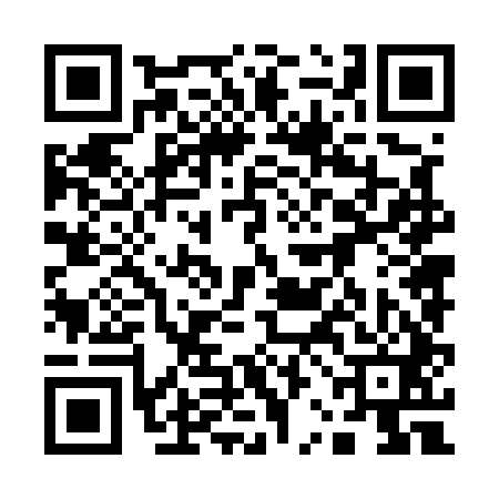 QR code for 12N541P