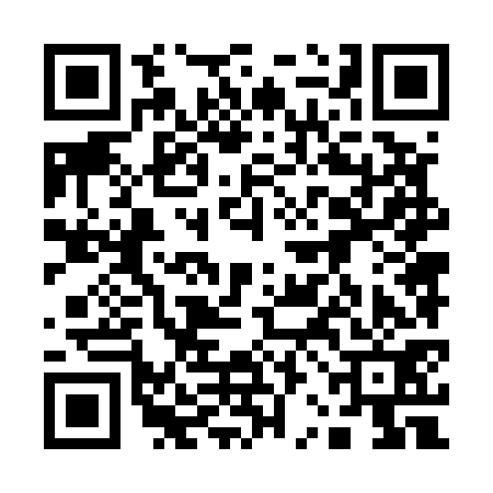 QR code for 12N571N