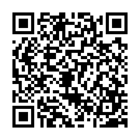 QR code for 12NG463