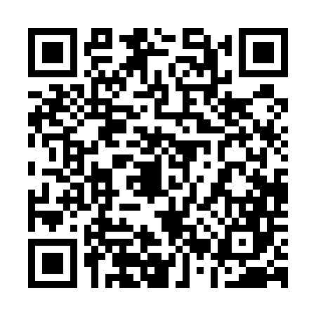 QR code for 12P546C