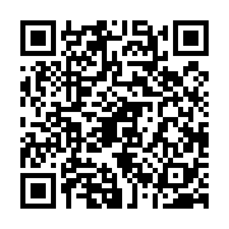 QR code for 12P578T