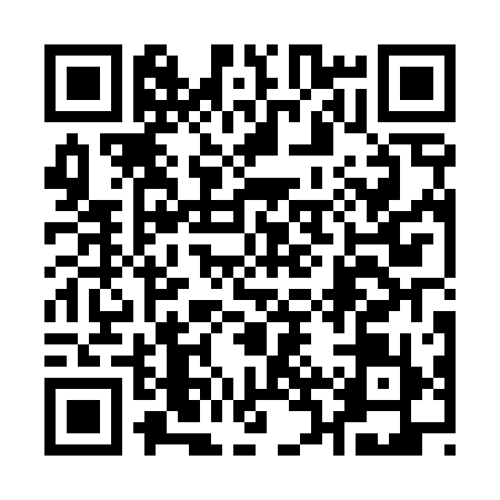 QR code for 12PT196