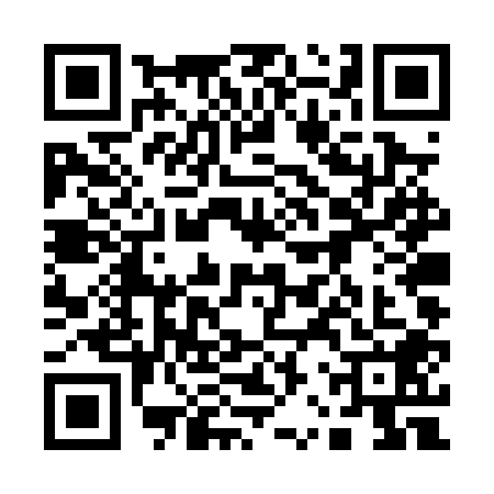 QR code for 12TPP87
