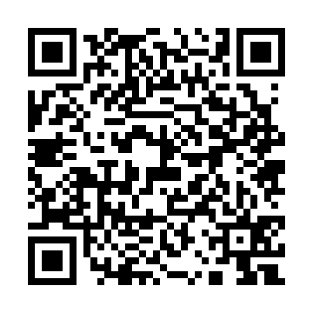 QR code for 12Z335Z
