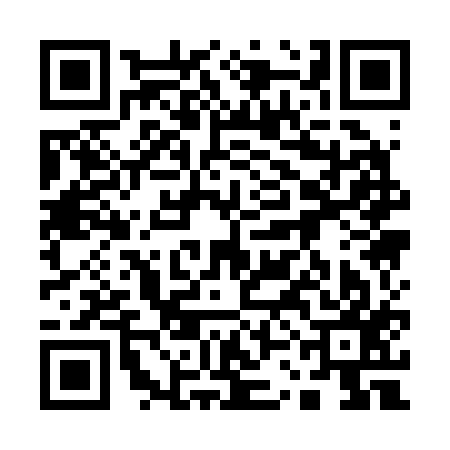 QR code for 13A217L