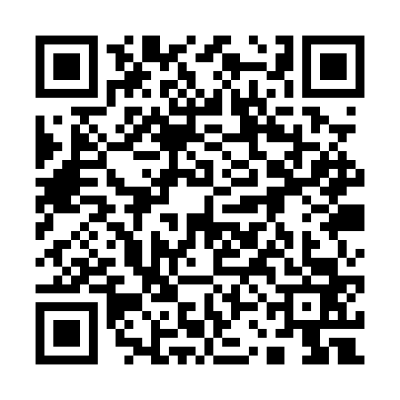 QR code for 13APV31
