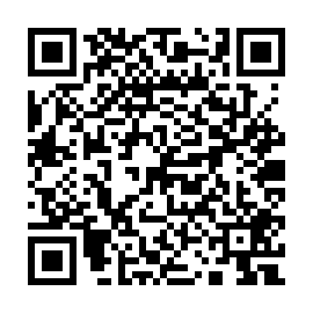 QR code for 13BSP95