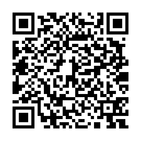 QR code for 13BT313