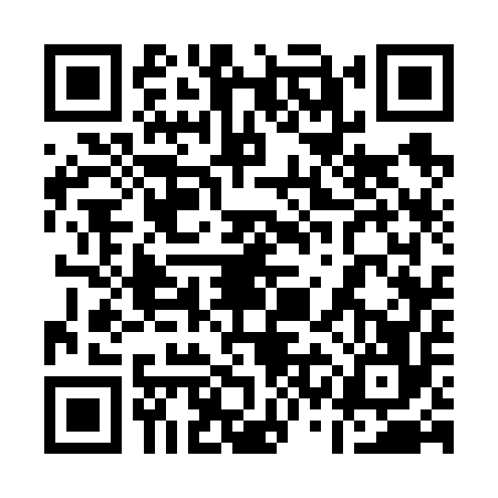QR code for 13C6563
