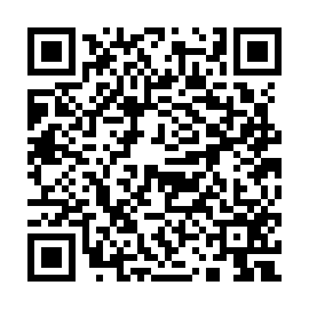 QR code for 13CK563