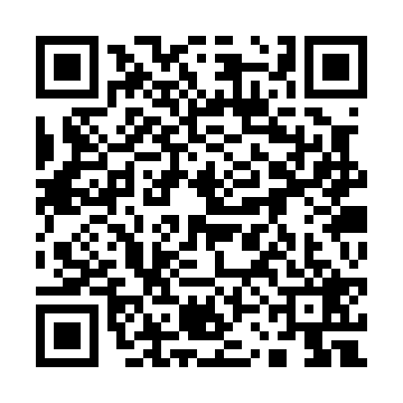 QR code for 13CP294