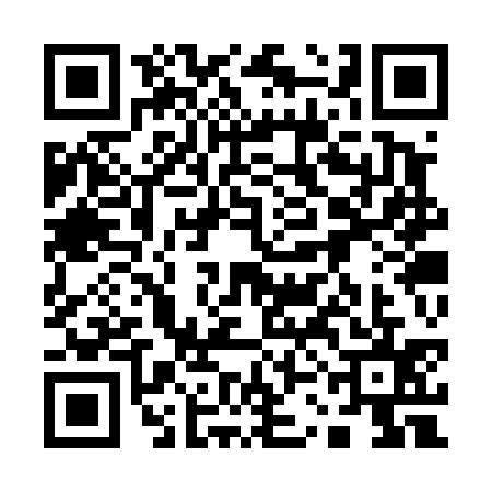 QR code for 13CT355