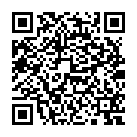QR code for 13CZ133