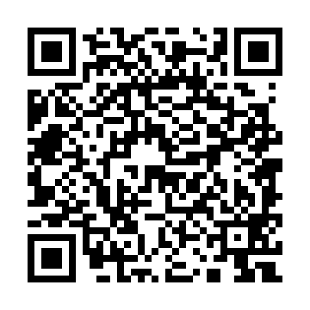 QR code for 13D399H